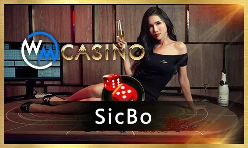 Sports Betting on Bingoplus Lite APK